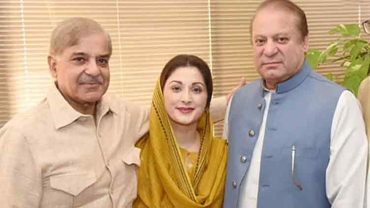 Punjab elections: Top PML-N brass decides to field candidate in all constituencies