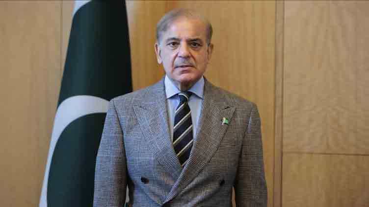 Pakistan Day: PM Shehbaz sees economic instability, political chaos as major challenges