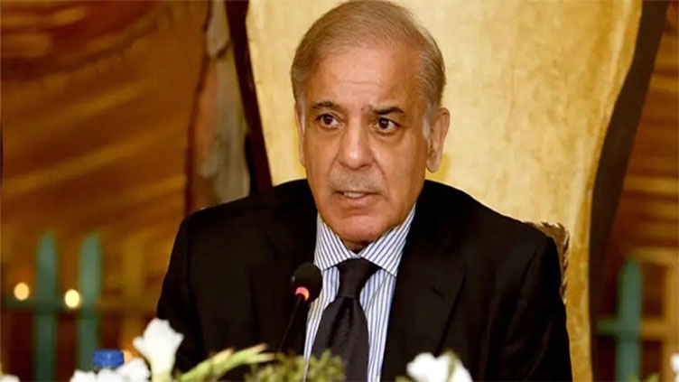 PM Shehbaz admits flaws in political structure 