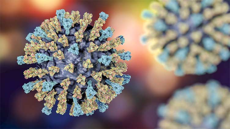 German judges in court cases did not rule on whether measles virus exists