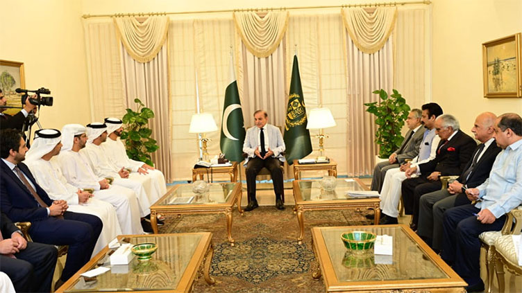 PM Shehbaz assures UAE investors of all-out support