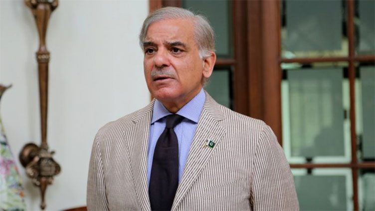 PM Shehbaz urges global action to beat plastic pollution