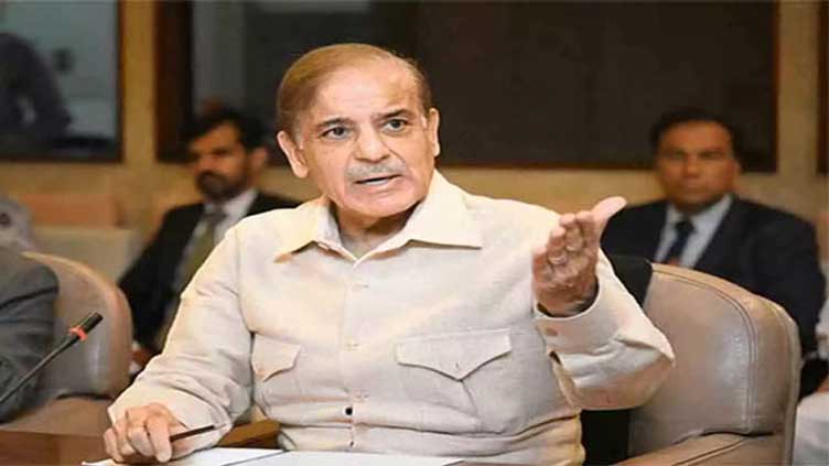 PM Shehbaz lashes out at PTI chief over human rights statement