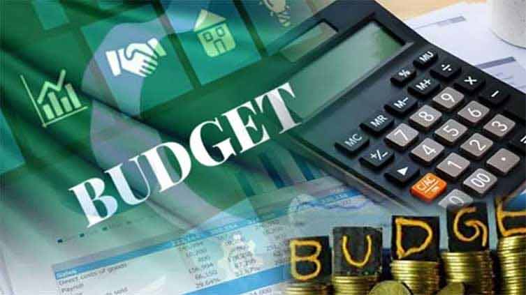 A layman's guide to some budgetary, economic terms used in Pakistan